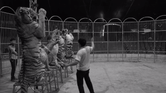 孙俪李佳琦罕见同框背后：这些刷爆朋友圈的照片