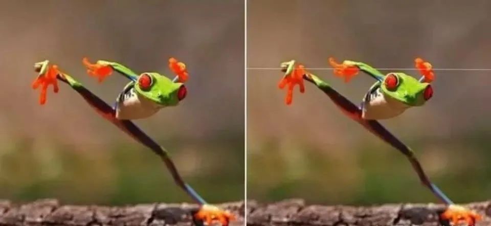 孙俪李佳琦罕见同框背后：这些刷爆朋友圈的照片