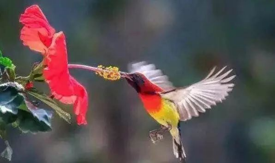 孙俪李佳琦罕见同框背后：这些刷爆朋友圈的照片