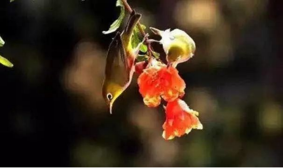 孙俪李佳琦罕见同框背后：这些刷爆朋友圈的照片