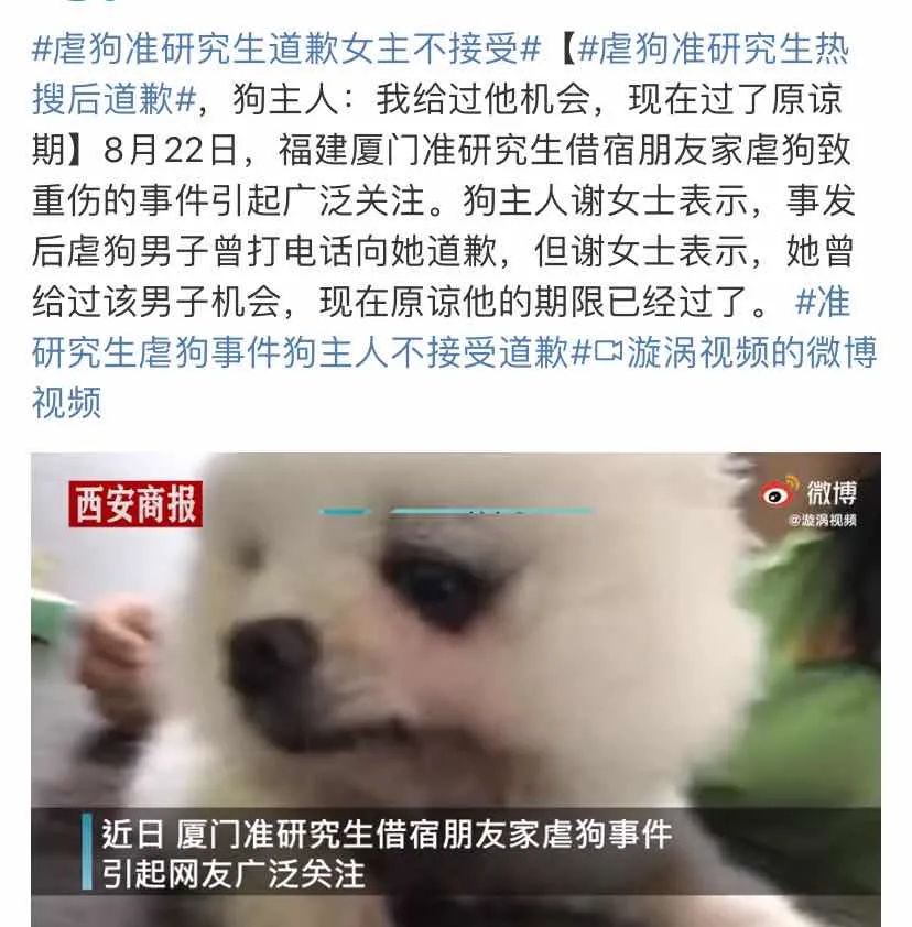 孙俪李佳琦罕见同框背后：这些刷爆朋友圈的照片