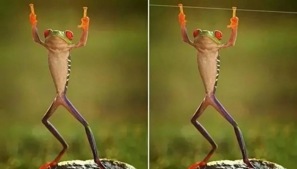 孙俪李佳琦罕见同框背后：这些刷爆朋友圈的照片