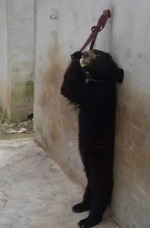 孙俪李佳琦罕见同框背后：这些刷爆朋友圈的照片