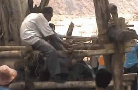 孙俪李佳琦罕见同框背后：这些刷爆朋友圈的照片