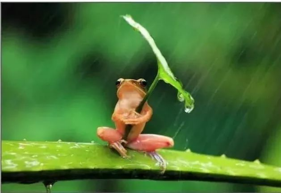 孙俪李佳琦罕见同框背后：这些刷爆朋友圈的照片