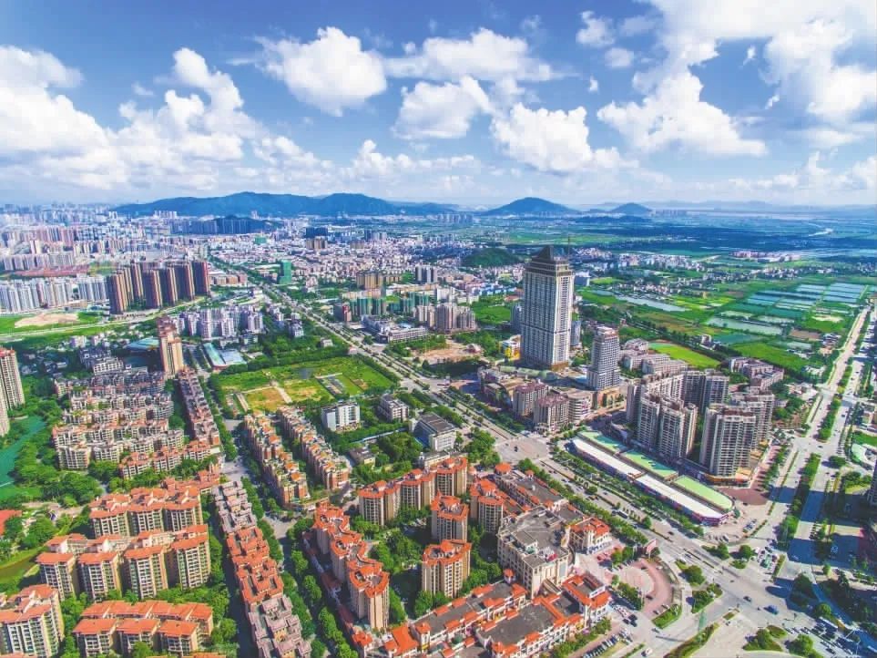 市长危伟汉调研坦洲、板芙:不种梧桐树,