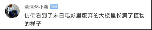 8个月后回宿舍发现厕所长出辣椒,网友:莫不是遗腹籽?休闲区蓝鸢梦想 - Www.slyday.coM 8个月后回宿舍发现厕所长出辣椒,网友:莫不是遗腹籽?休闲区蓝鸢梦想 - Www.slyday.coM