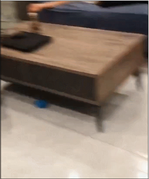 主人沙发上睡觉,突然被二哈扑了个满面,网友:流浪狗套餐安排上