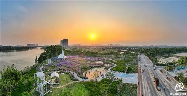 花海、古村、美食……这个华南地区新晋网红景点,就藏在南海