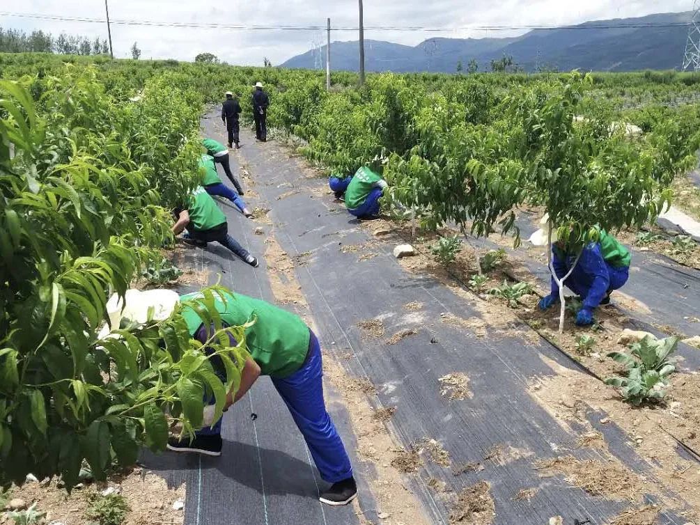布拖人口多少_布拖火把节照片