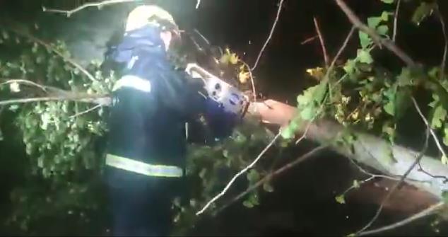 “黑格比”台风登陆夜 温岭消防紧急排除路上险情