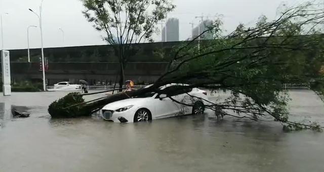 风力强劲!浙江一高层单元楼阳台"被拆"!多地紧急救援中......