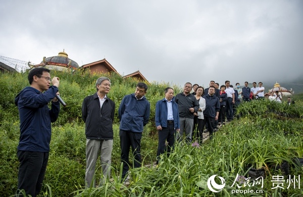 民盟中央到赫章县调研韭菜坪旅游品质提升项目