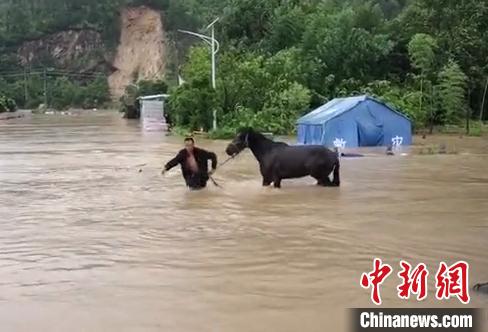 救出被淹動(dòng)物。　永嘉供圖