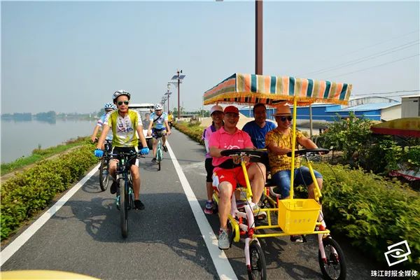 花海、古村、美食……这个华南地区新晋网红景点,就藏在南海