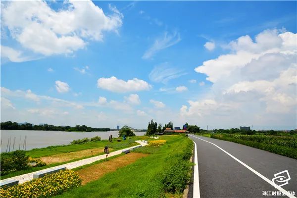 花海、古村、美食……这个华南地区新晋网红景点,就藏在南海