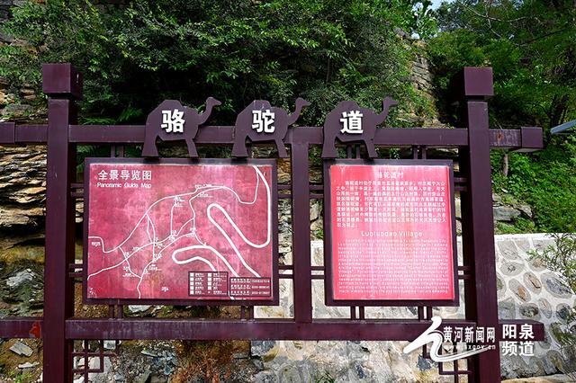 山西阳泉:骆驼道村蹚出新路子 过上好日子