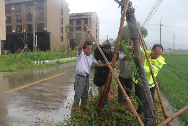 迎战台风“黑格比”,温岭全城在行动!