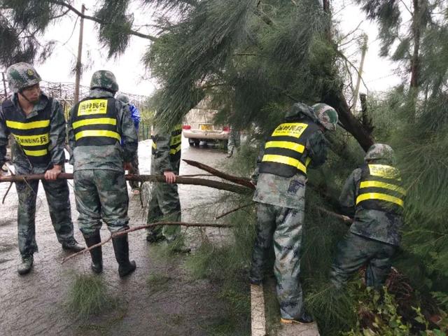 迎战台风“黑格比”,温岭全城在行动!