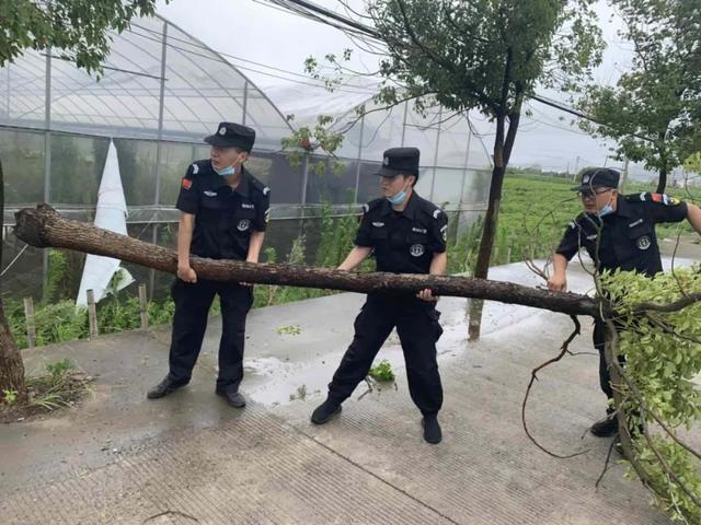 迎战台风“黑格比”,温岭全城在行动!