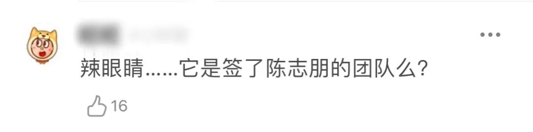 他这身穿搭......陈志朋后继有人了吗?