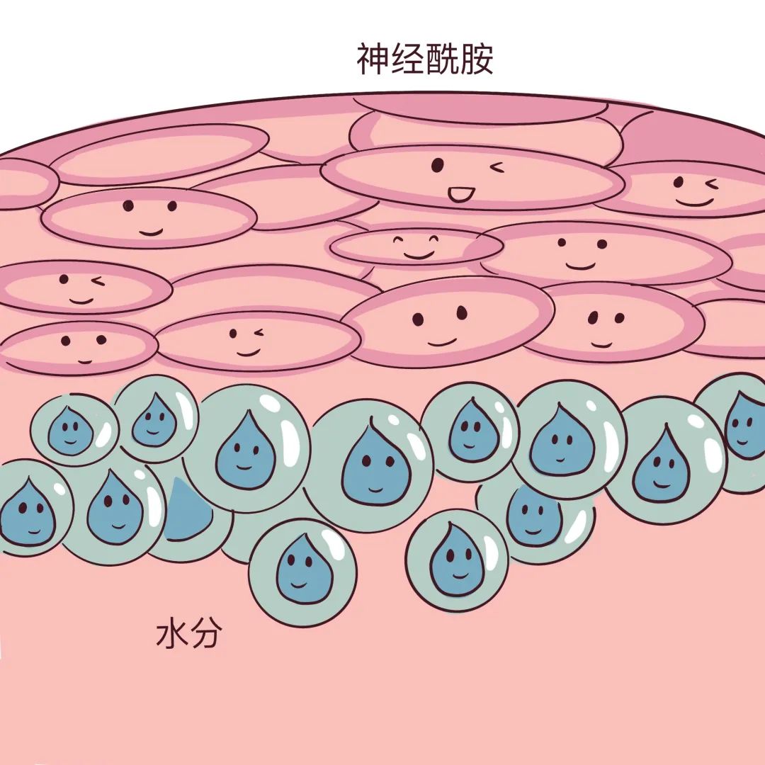 夏天,干皮和油皮哪个更惨?答案竟然是…