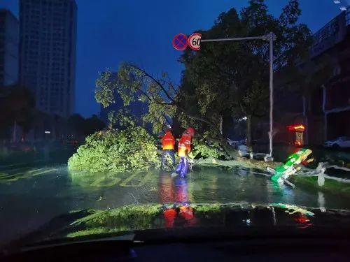 迎战台风“黑格比”,温岭全城在行动!
