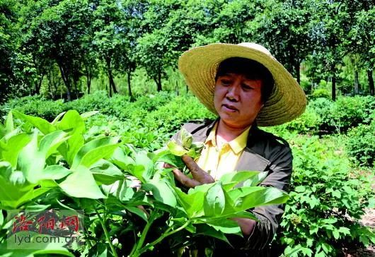 【荣誉榜】鼓掌!近期,这些民主党派成员获奖啦!