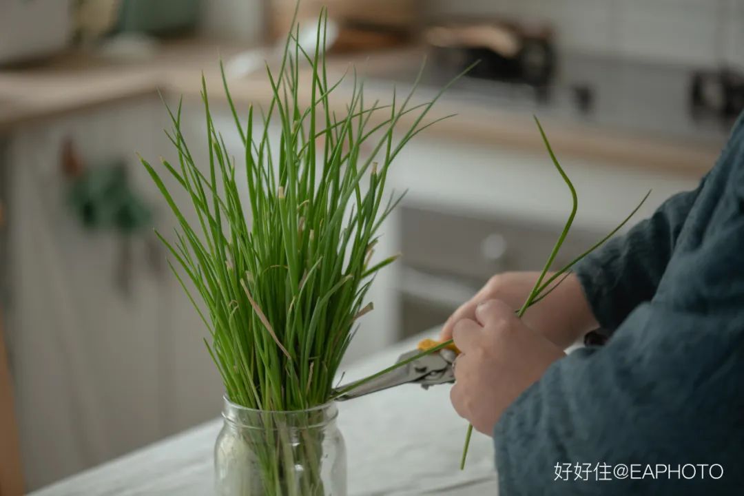 2米阳台,竟能种出15种菜!这些年轻人都是当代陶渊明!