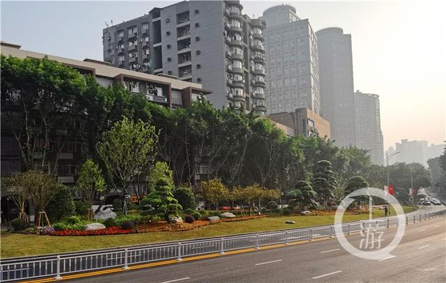 发现重庆之美丨渝中区城管局局长宋丹:以“八大行动”落实“七大工程”提升渝中颜值气质