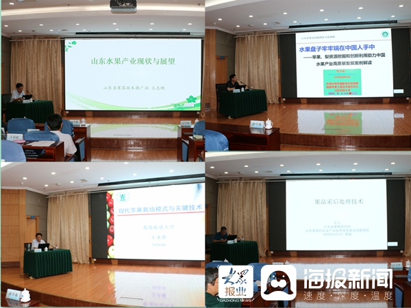聊城市成立果品产业技术创新联盟 助力果品产业健康持续发展