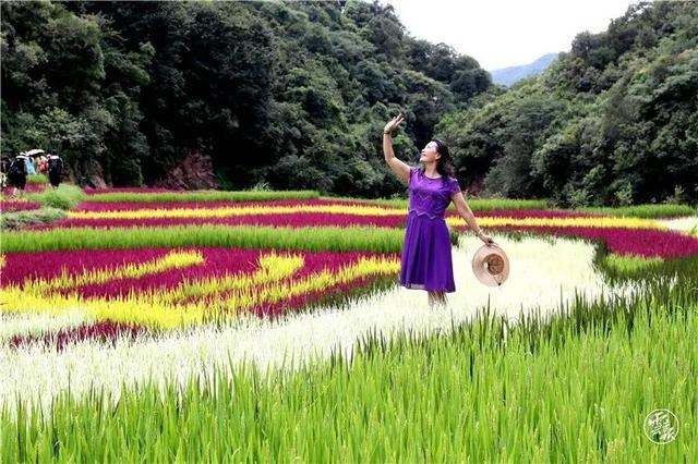 昆明这里藏着个“睡美人”网红村