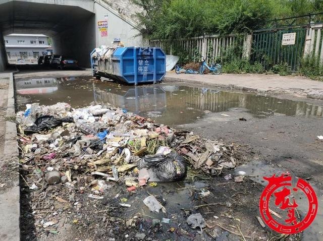 王岗头道街:垃圾箱摆在路中间臭气熏天 满地脏水堵道