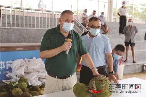 大朗大井头社区拍卖古树菠萝蜜