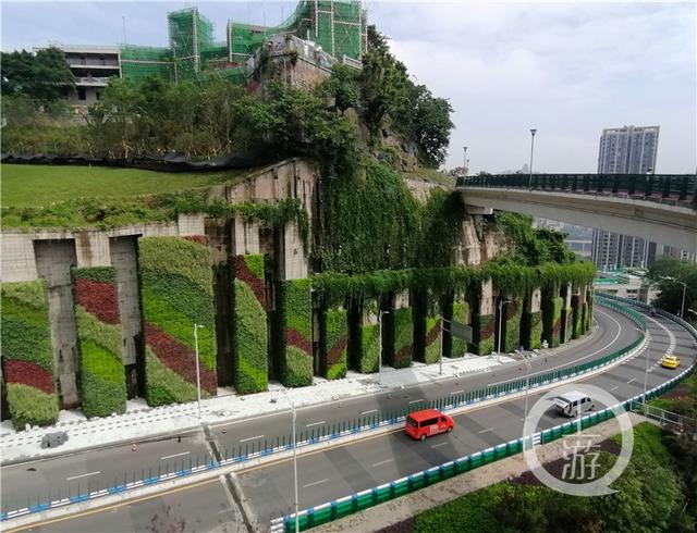发现重庆之美丨渝中区城管局局长宋丹:以“八大行动”落实“七大工程”提升渝中颜值气质
