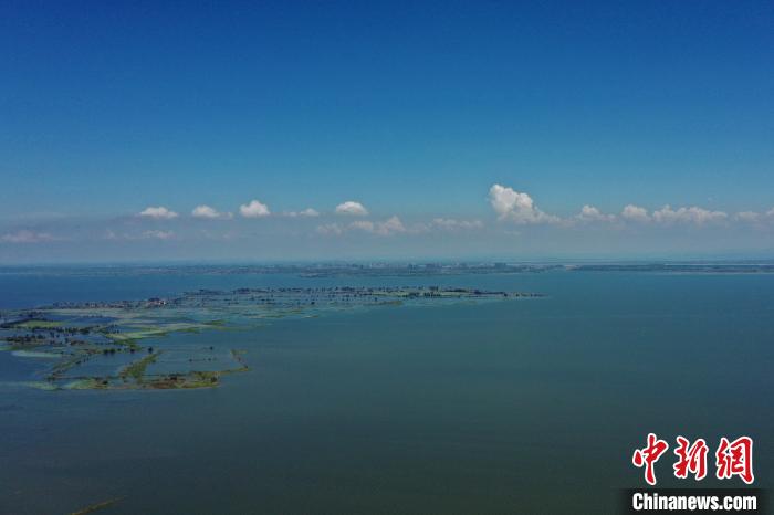 洪湖是中国第七大淡水湖(8月3日拍摄) 周星亮 摄