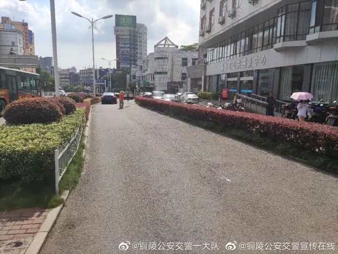 【跟着铜陵0805】厉害了!铜陵这个女孩被北京大学录取!