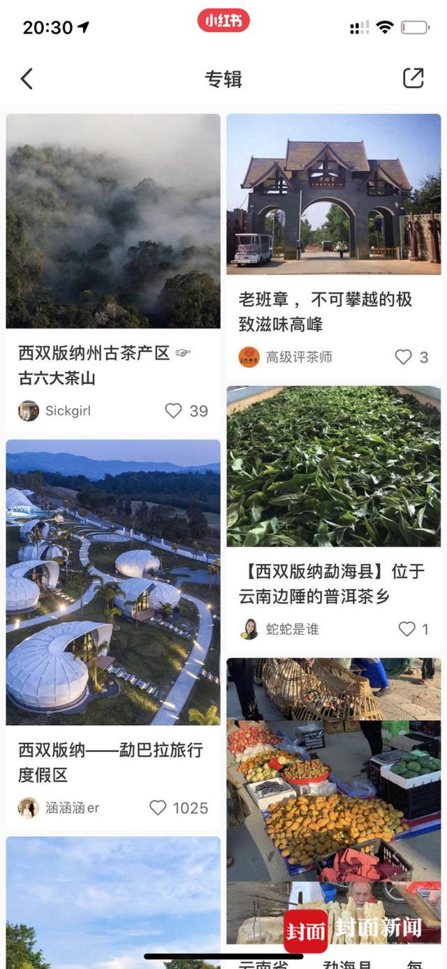 女大学生被杀案嫌犯自称是官二代 李某月男友身份疑曝光!南京失联女生遇害杀害埋尸最新消息