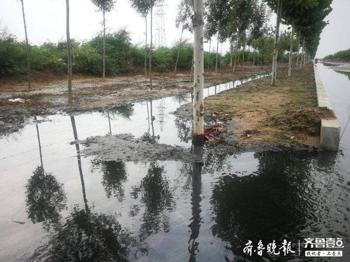 东营一灌溉水渠发黑发臭!村民质疑是附近污水处理厂直排污水