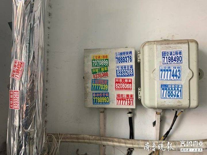 新闻啄木鸟||东营区三中家属区楼道“牛皮癣”泛滥