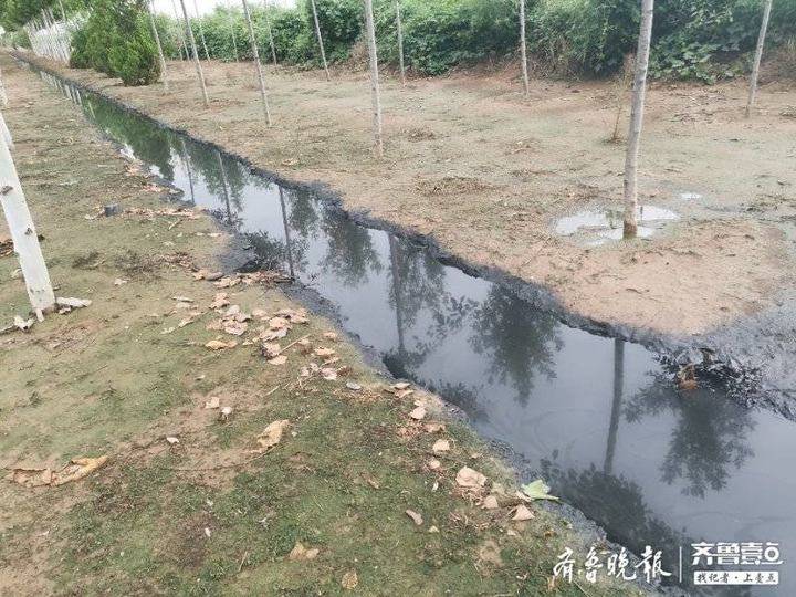 东营一灌溉水渠发黑发臭!村民质疑是附近污水处理厂直排污水