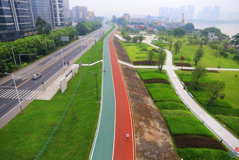绿色家庭、绿色学校、绿色社区……佛山启动绿色生活创建行动