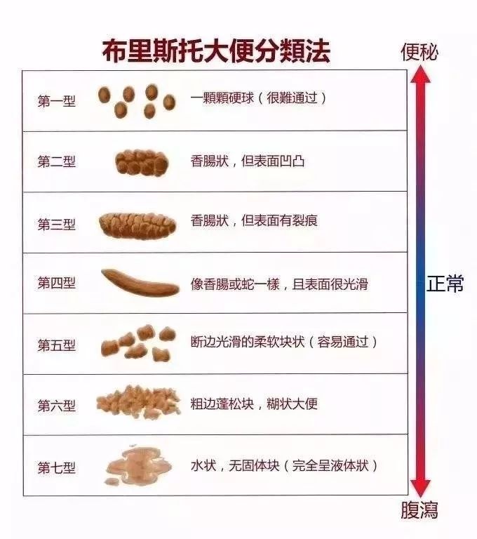 每天这个时间排便的人可能更长寿!医生:上完厕所后的一个动作非常关键!
