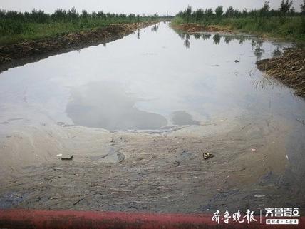 东营一灌溉水渠发黑发臭!村民质疑是附近污水处理厂直排污水