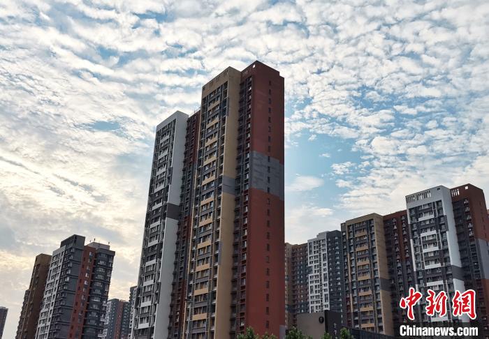 山东明确241项生态环境部门行政执法事项