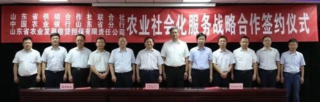 农行山东省分行与人保财险山东省分公司签署战略合作协议