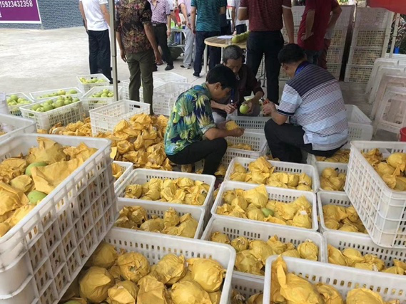 接力“小满助力计划” 度小满启动企业采购帮扶受灾农户