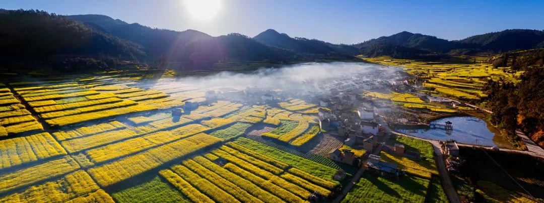 海光花晨 冲村塔李江 摄。