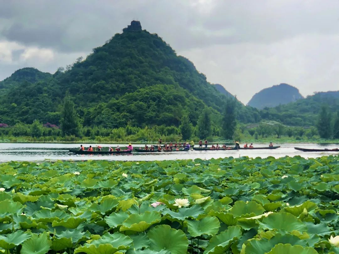 【提醒】云南省发布11项暑期旅游提示：做好个人防护 警惕低价旅游团