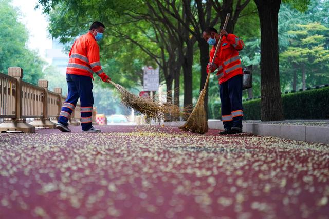 北京启动秋季周末卫生日 12万吨垃圾没了踪影